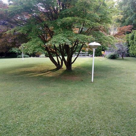 Villa Alice لسا المظهر الخارجي الصورة