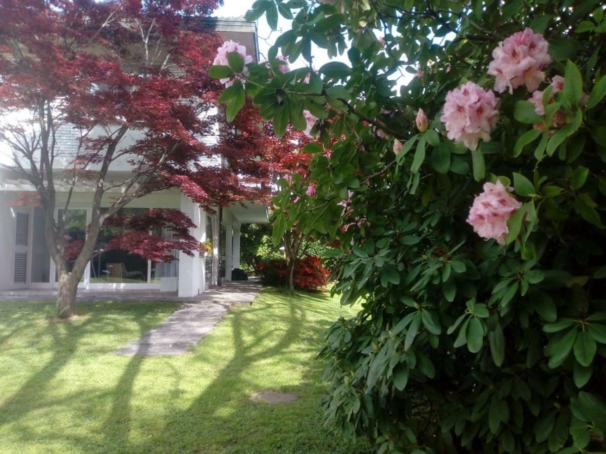 Villa Alice لسا المظهر الخارجي الصورة